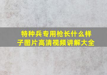 特种兵专用枪长什么样子图片高清视频讲解大全