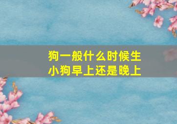 狗一般什么时候生小狗早上还是晚上