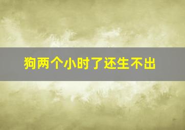 狗两个小时了还生不出