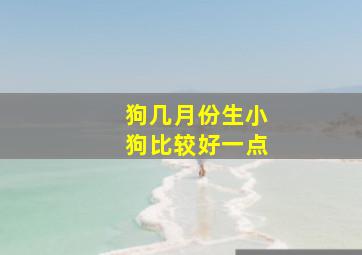 狗几月份生小狗比较好一点