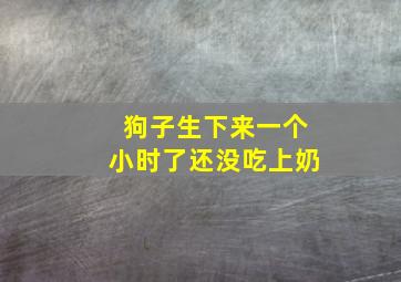 狗子生下来一个小时了还没吃上奶