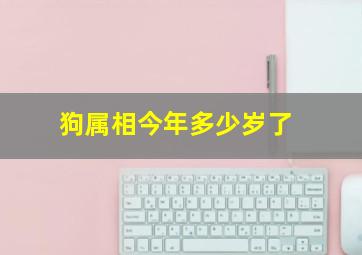 狗属相今年多少岁了