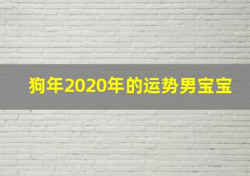 狗年2020年的运势男宝宝