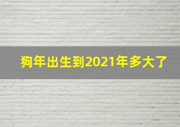 狗年出生到2021年多大了