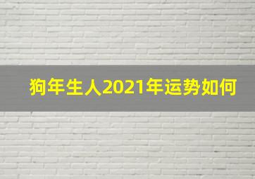 狗年生人2021年运势如何