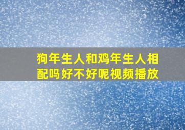 狗年生人和鸡年生人相配吗好不好呢视频播放