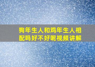 狗年生人和鸡年生人相配吗好不好呢视频讲解