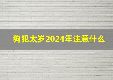 狗犯太岁2024年注意什么