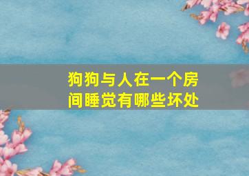 狗狗与人在一个房间睡觉有哪些坏处