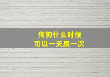 狗狗什么时候可以一天尿一次