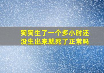 狗狗生了一个多小时还没生出来就死了正常吗