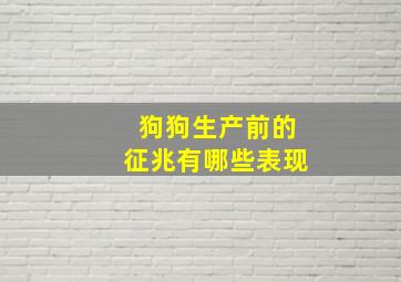 狗狗生产前的征兆有哪些表现