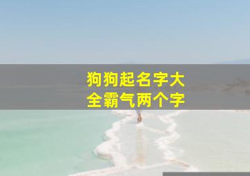 狗狗起名字大全霸气两个字