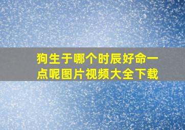 狗生于哪个时辰好命一点呢图片视频大全下载