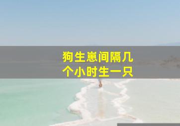 狗生崽间隔几个小时生一只