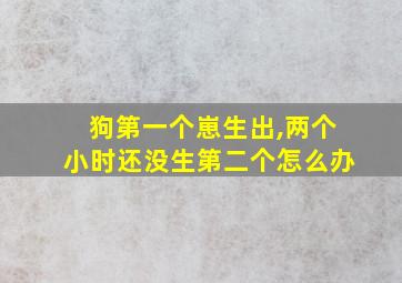 狗第一个崽生出,两个小时还没生第二个怎么办