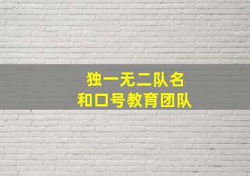 独一无二队名和口号教育团队