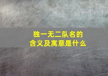 独一无二队名的含义及寓意是什么