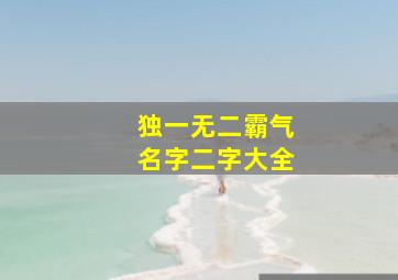 独一无二霸气名字二字大全