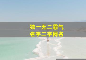 独一无二霸气名字二字网名