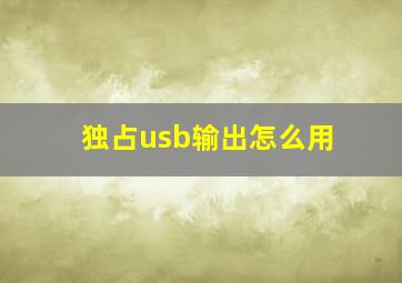 独占usb输出怎么用