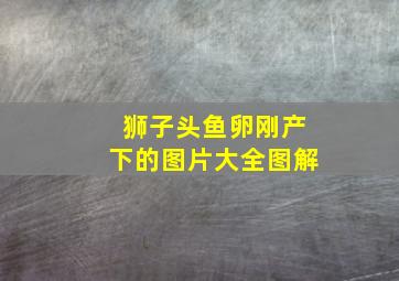 狮子头鱼卵刚产下的图片大全图解