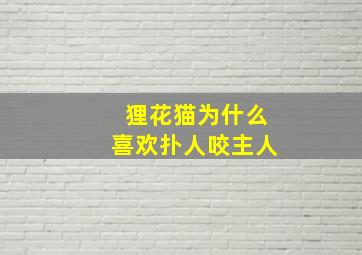 狸花猫为什么喜欢扑人咬主人