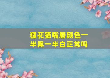 狸花猫嘴唇颜色一半黑一半白正常吗