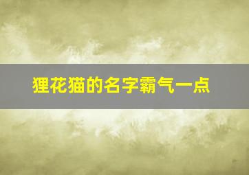 狸花猫的名字霸气一点