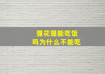 狸花猫能吃饭吗为什么不能吃