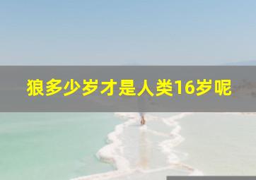 狼多少岁才是人类16岁呢