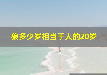 狼多少岁相当于人的20岁