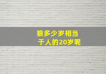 狼多少岁相当于人的20岁呢