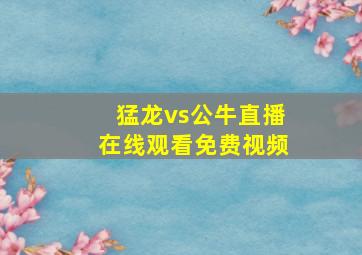 猛龙vs公牛直播在线观看免费视频