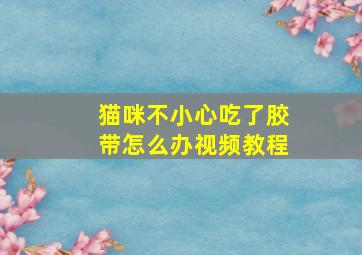 猫咪不小心吃了胶带怎么办视频教程