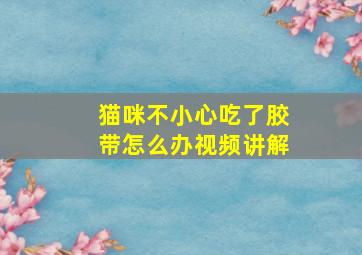 猫咪不小心吃了胶带怎么办视频讲解