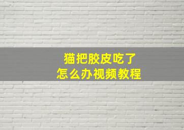 猫把胶皮吃了怎么办视频教程