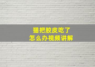 猫把胶皮吃了怎么办视频讲解