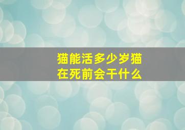 猫能活多少岁猫在死前会干什么