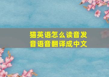 猫英语怎么读音发音语音翻译成中文