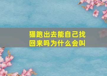 猫跑出去能自己找回来吗为什么会叫