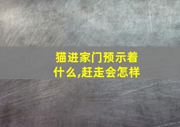 猫进家门预示着什么,赶走会怎样