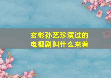 玄彬孙艺珍演过的电视剧叫什么来着