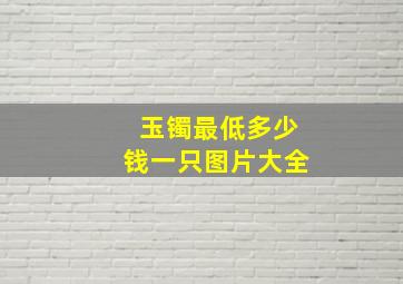 玉镯最低多少钱一只图片大全