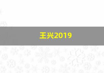 王兴2019