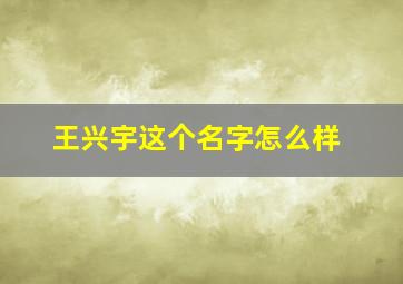 王兴宇这个名字怎么样