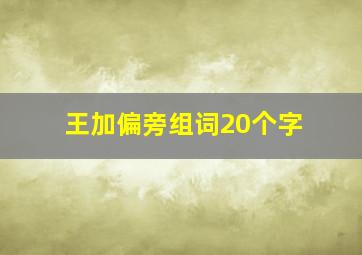 王加偏旁组词20个字