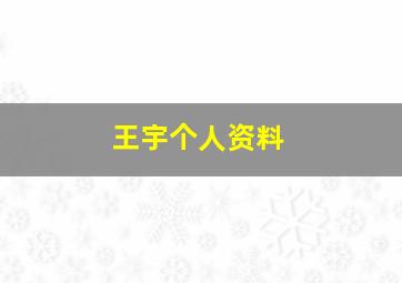 王宇个人资料