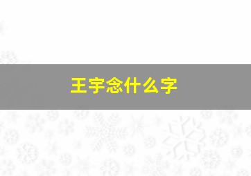 王宇念什么字