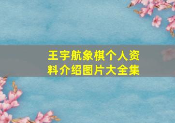 王宇航象棋个人资料介绍图片大全集